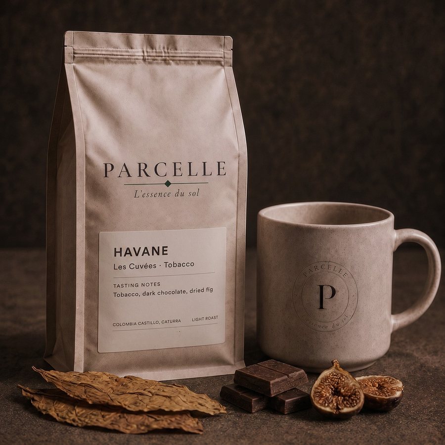 Parcelle Havane, Les Cuvées